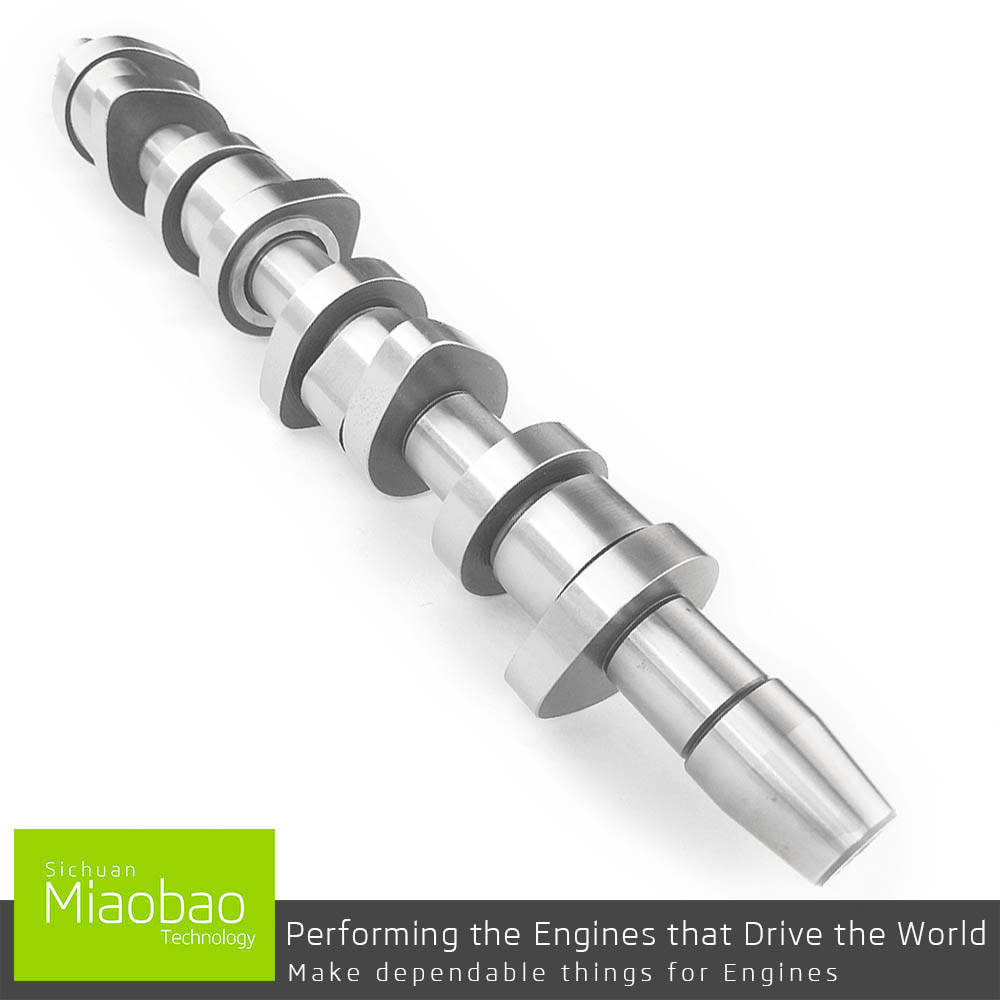 CAMSHAFT FOR VW SHARAN POLO GOLF TOURAN CADDY PASSAT JETTA MULTIVAN TRANSPORTER EOS 1.9 2.0 TDI 038109101AH