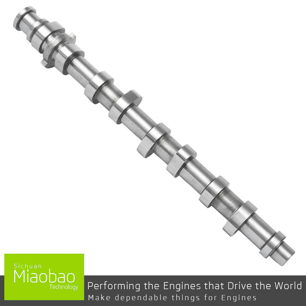 Camshaft For VW BEETLE  PASSAT GOLF BORA SEAT EXEO SKODA OCTAVIA AUDI A3 1.6i 06B109101G