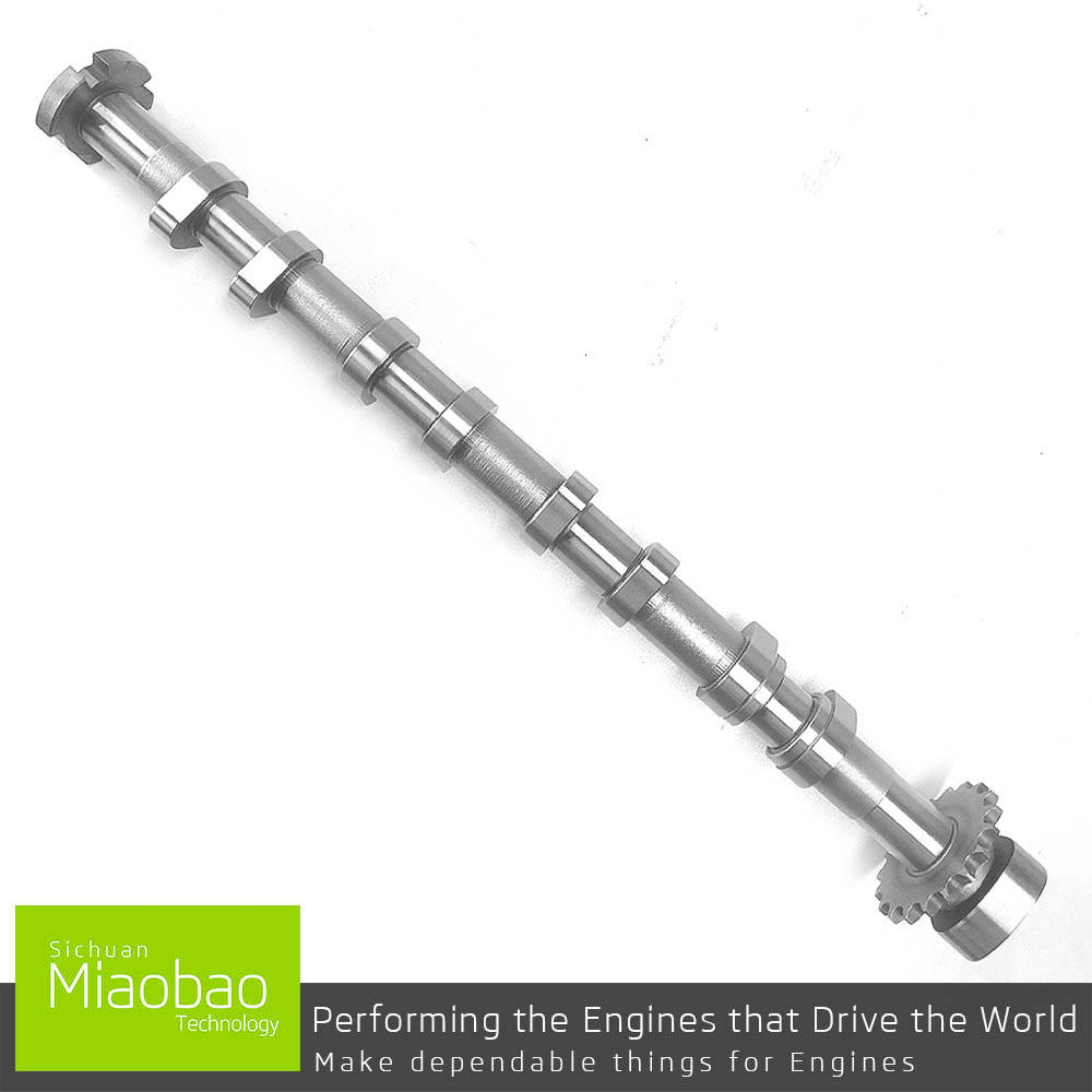 Camshaft For VW PASSAT GOLF EOS JETTA SKODA OCTAVIA AUDI A3 A4 TT SEAT ALTEA LEON TOLEDO 2.0 06F109101B