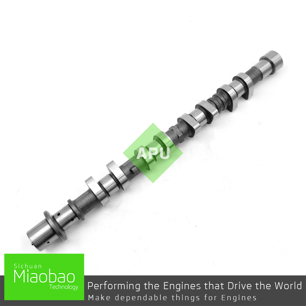 2420026704 camshaft for Hyundai Accent